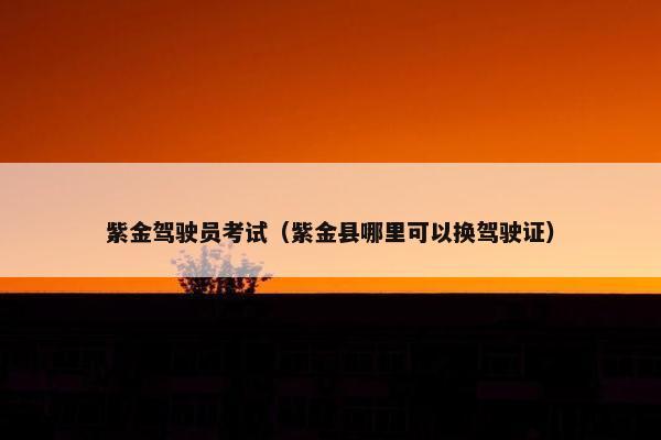紫金驾驶员考试（紫金县哪里可以换驾驶证）