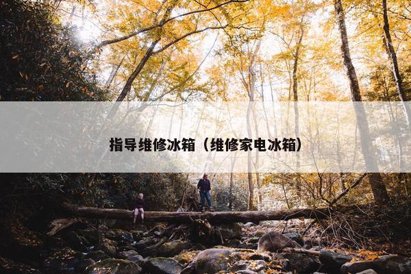 指导维修冰箱（维修家电冰箱）