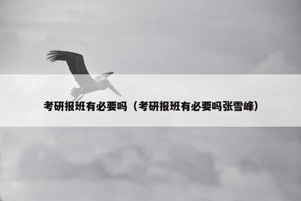 考研报班有必要吗（考研报班有必要吗张雪峰）