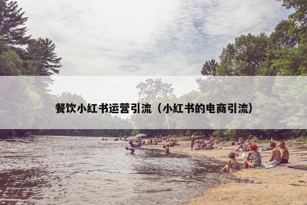 餐饮小红书运营引流（小红书的电商引流）