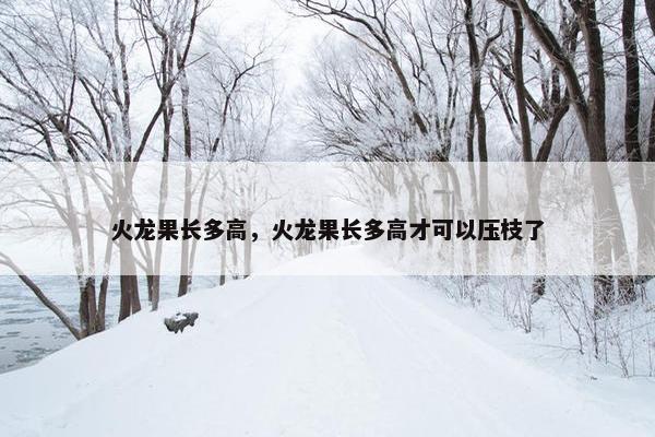 火龙果长多高，火龙果长多高才可以压枝了