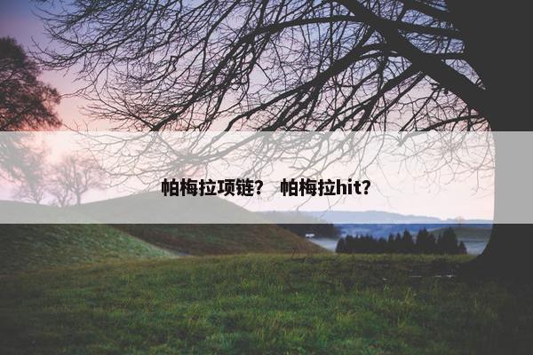 帕梅拉项链？ 帕梅拉hit？