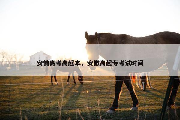 安徽高考高起本，安徽高起专考试时间