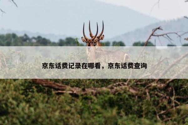 京东话费记录在哪看，京东话费查询