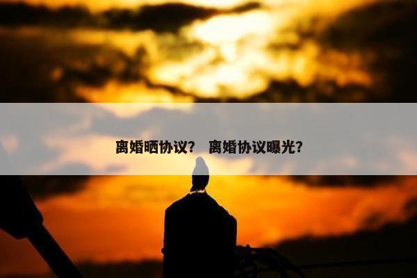 离婚晒协议？ 离婚协议曝光？