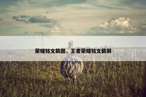 荣耀铭文截图，王者荣耀铭文截屏
