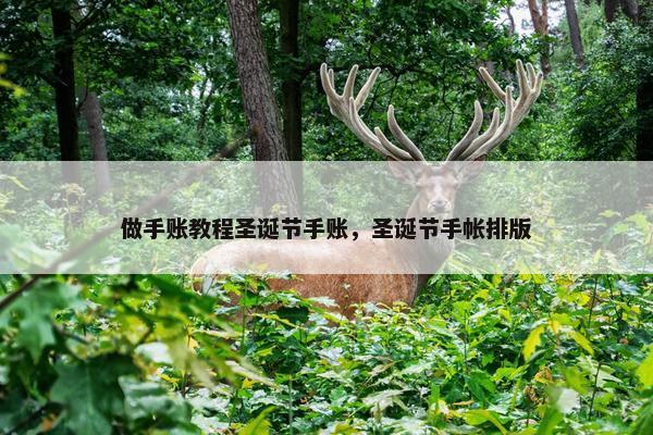 做手账教程圣诞节手账，圣诞节手帐排版