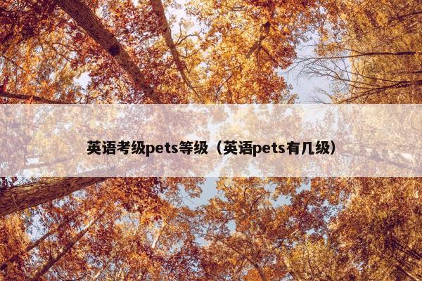 英语考级pets等级（英语pets有几级）