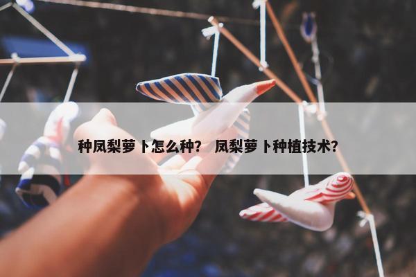 种凤梨萝卜怎么种？ 凤梨萝卜种植技术？