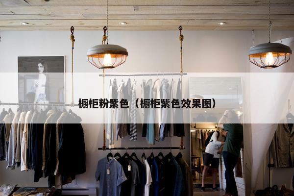 橱柜粉紫色（橱柜紫色效果图）