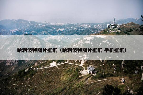 哈利波特图片壁纸（哈利波特图片壁纸 手机壁纸）