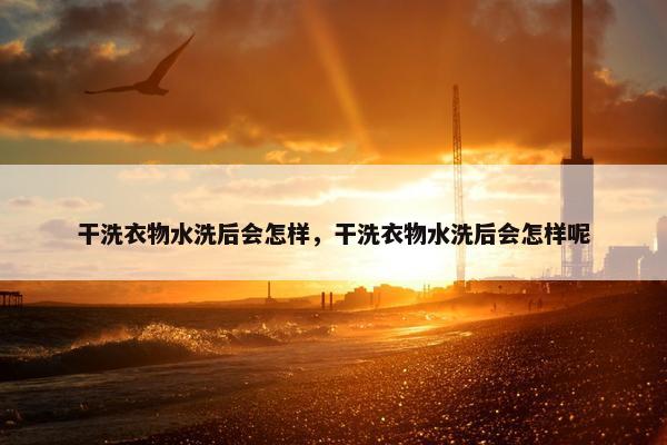 干洗衣物水洗后会怎样，干洗衣物水洗后会怎样呢
