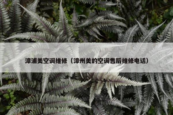 漳浦美空调维修（漳州美的空调售后维修电话）