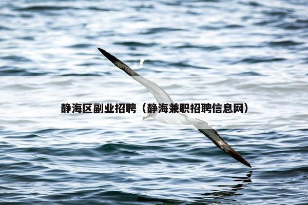 静海区副业招聘（静海兼职招聘信息网）