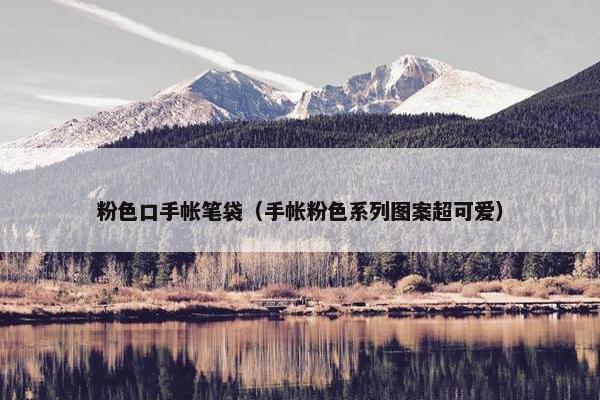 粉色口手帐笔袋（手帐粉色系列图案超可爱）