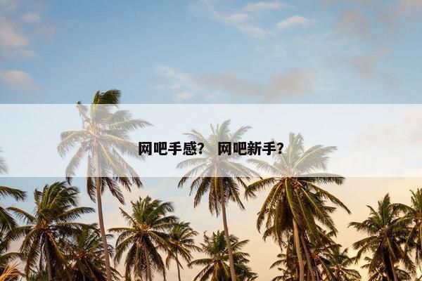 网吧手感？ 网吧新手？
