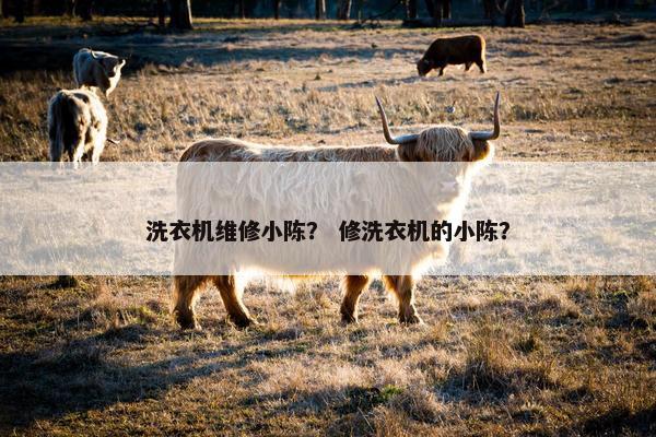 洗衣机维修小陈？ 修洗衣机的小陈？