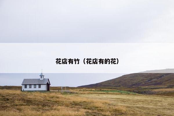 花店有竹（花店有的花）