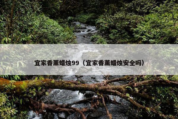 宜家香薰蜡烛99（宜家香薰蜡烛安全吗）