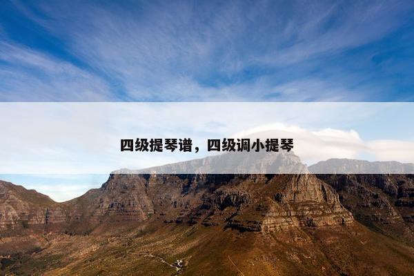 四级提琴谱，四级调小提琴