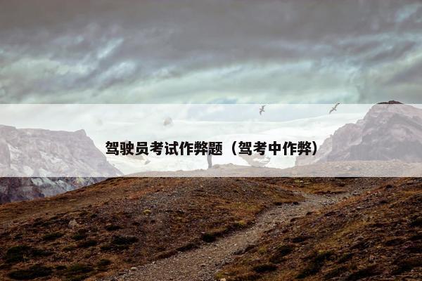 驾驶员考试作弊题（驾考中作弊）
