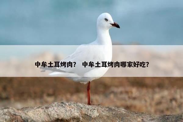 中牟土耳烤肉？ 中牟土耳烤肉哪家好吃？