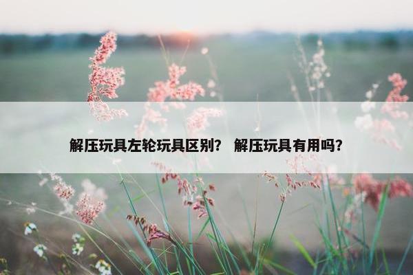 解压玩具左轮玩具区别？ 解压玩具有用吗？