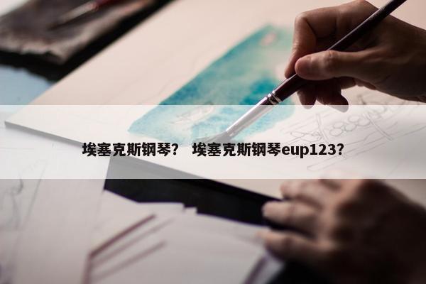 埃塞克斯钢琴？ 埃塞克斯钢琴eup123？