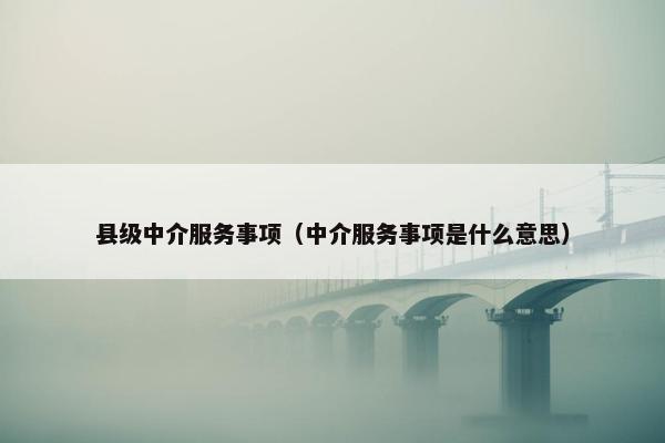 县级中介服务事项（中介服务事项是什么意思）