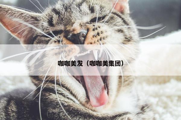咖咖美发（咖咖美集团）
