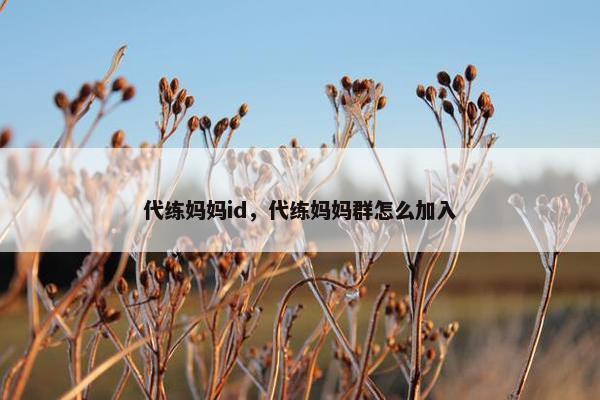代练妈妈id，代练妈妈群怎么加入
