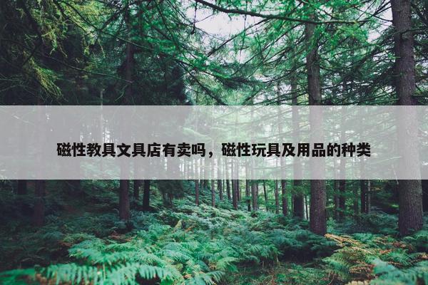 磁性教具文具店有卖吗，磁性玩具及用品的种类