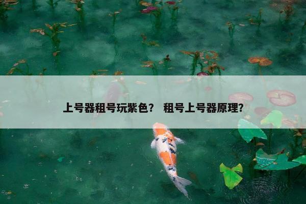 上号器租号玩紫色？ 租号上号器原理？