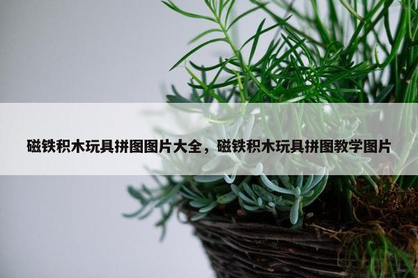 磁铁积木玩具拼图图片大全，磁铁积木玩具拼图教学图片