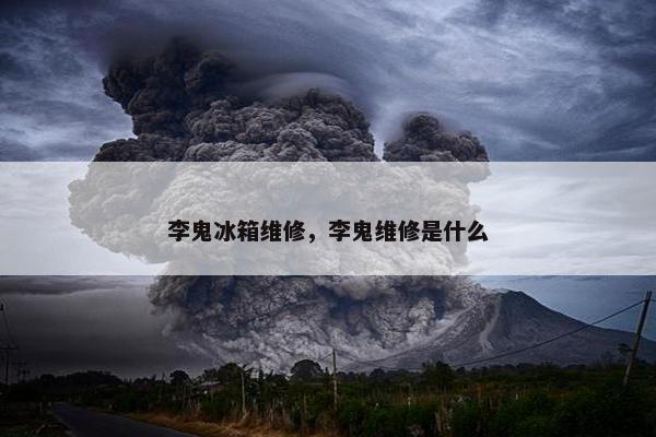 李鬼冰箱维修，李鬼维修是什么