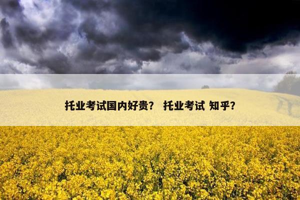 托业考试国内好贵？ 托业考试 知乎？