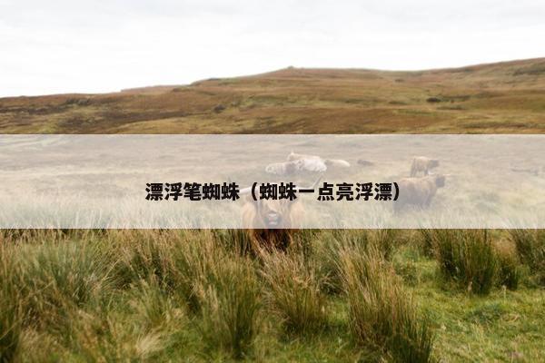 漂浮笔蜘蛛（蜘蛛一点亮浮漂）