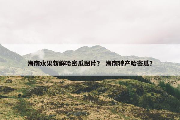 海南水果新鲜哈密瓜图片？ 海南特产哈密瓜？