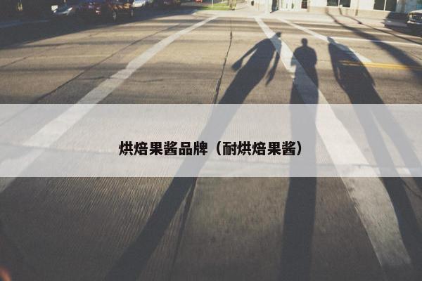 烘焙果酱品牌（耐烘焙果酱）