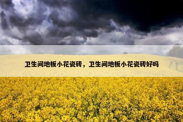 卫生间地板小花瓷砖，卫生间地板小花瓷砖好吗