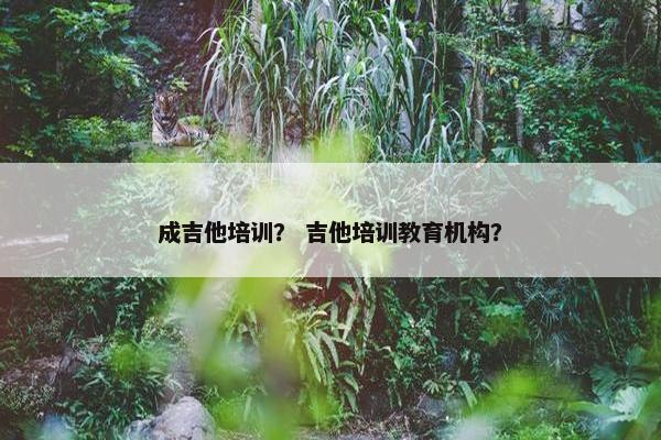 成吉他培训？ 吉他培训教育机构？