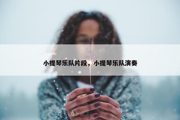 小提琴乐队片段，小提琴乐队演奏