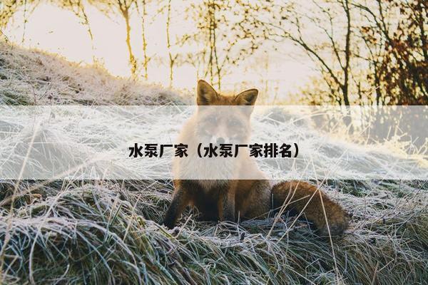 水泵厂家（水泵厂家排名）
