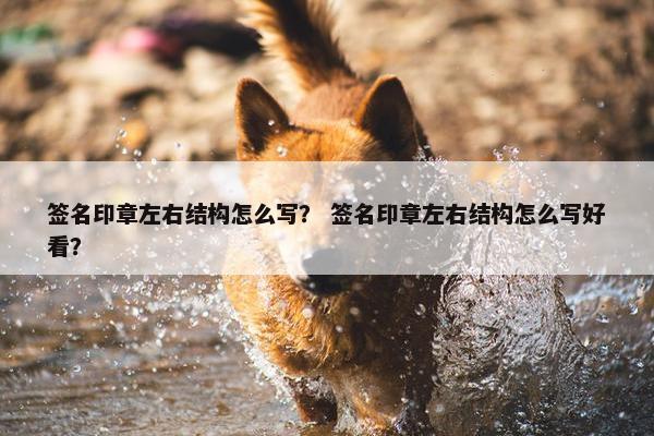 签名印章左右结构怎么写？ 签名印章左右结构怎么写好看？