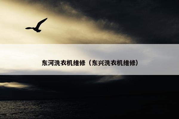 东河洗衣机维修（东兴洗衣机维修）