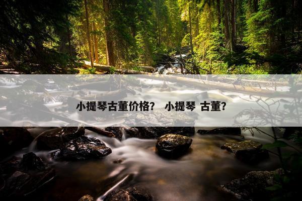 小提琴古董价格？ 小提琴 古董？