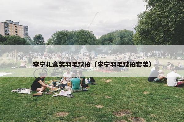 李宁礼盒装羽毛球拍（李宁羽毛球拍套装）