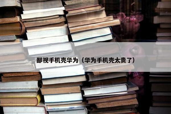 鄙视手机壳华为（华为手机壳太贵了）