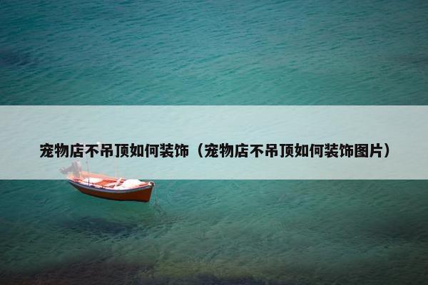 宠物店不吊顶如何装饰（宠物店不吊顶如何装饰图片）