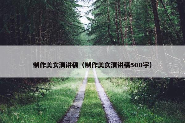 制作美食演讲稿（制作美食演讲稿500字）